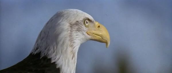 On Deadly Ground