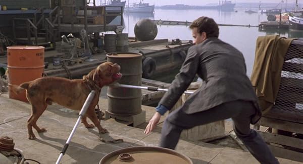 Turner & Hooch