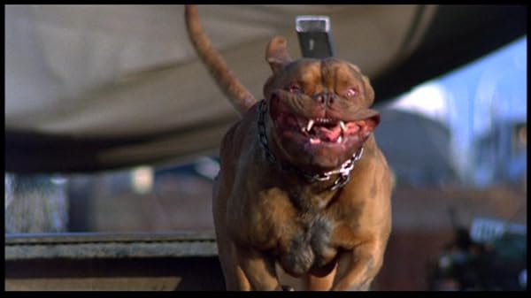 Turner & Hooch