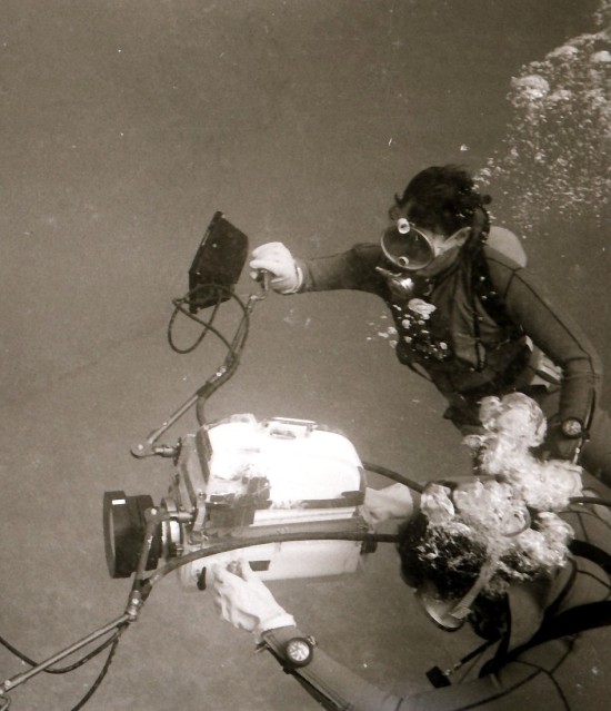 Mutual of Omaha's Wild Kingdom