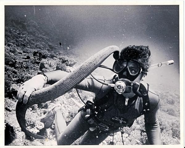 Mutual of Omaha's Wild Kingdom