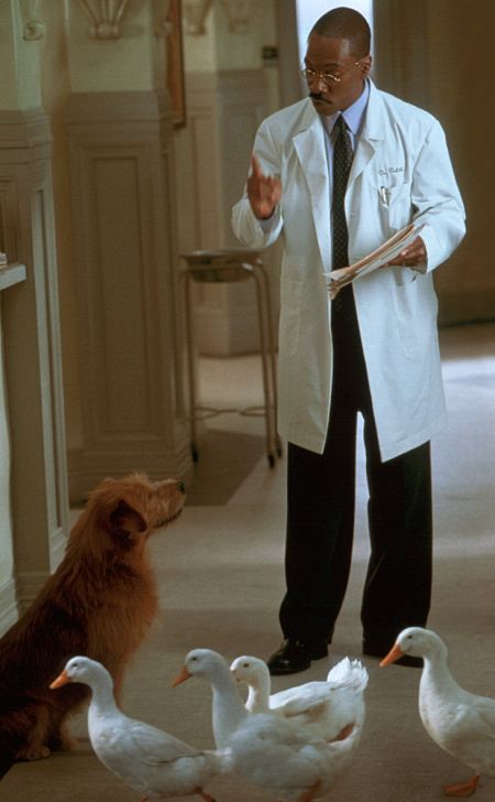 Dr. Dolittle 2