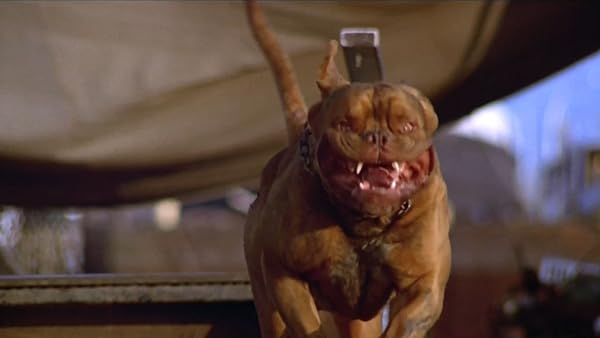 Turner & Hooch
