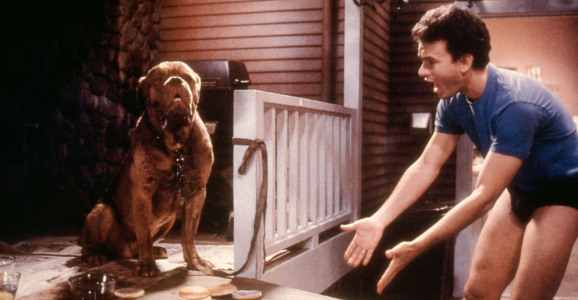 Turner & Hooch